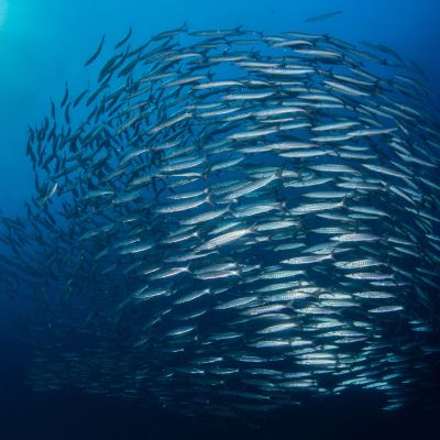 future-world-series-future-of-water