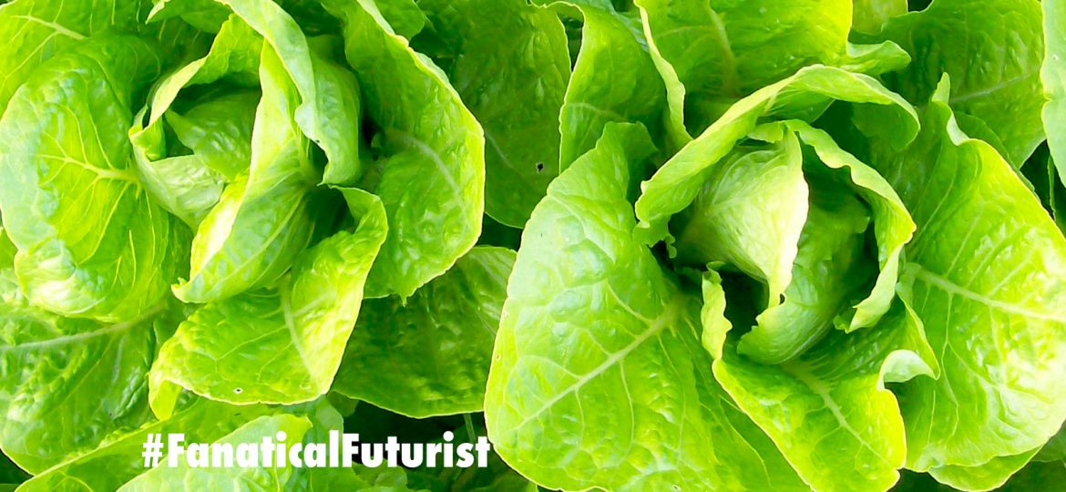 future_vertical_farm_vertical