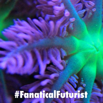 futurist_3d_printed_coral