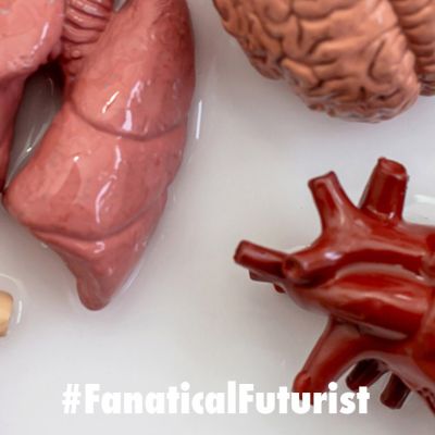 futurist_4d_bioprinting