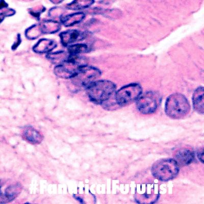 futurist_bioprinting_robot