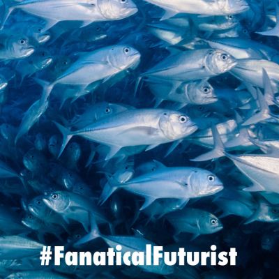 futurist_cleanfish