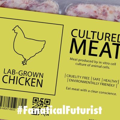 Futurist_cleanmeatchick