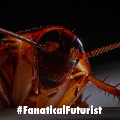 Futurist_cyborgroach