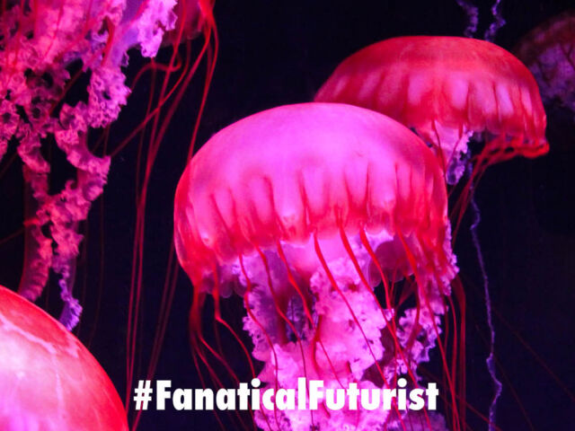 Futurist_futureinfrastructure