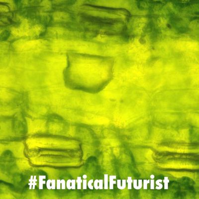 Futurist_hydrogenfuelcells