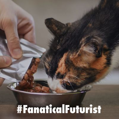 Futurist_labpetfood