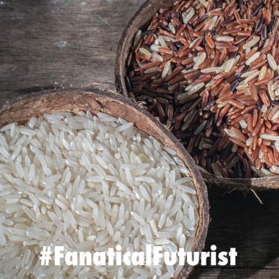 Futurist_rice1