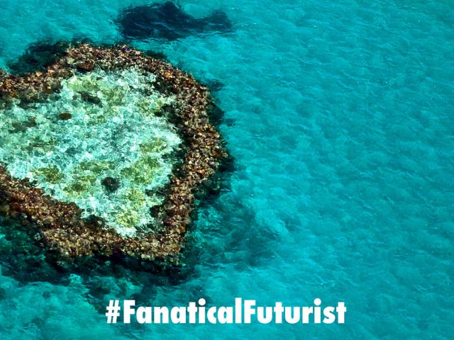 Futurist_sustainabilityreef