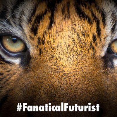 Futurist_tigermeat
