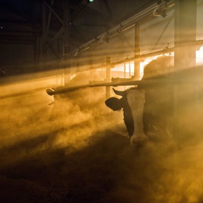 shutterstock_573703810